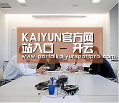 研发能力标题二