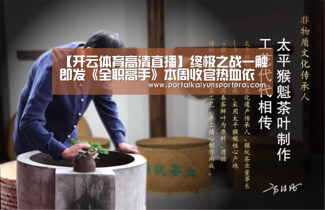 【开云体育高清直播】终极之战一触即发《全职高手》本周收官热血